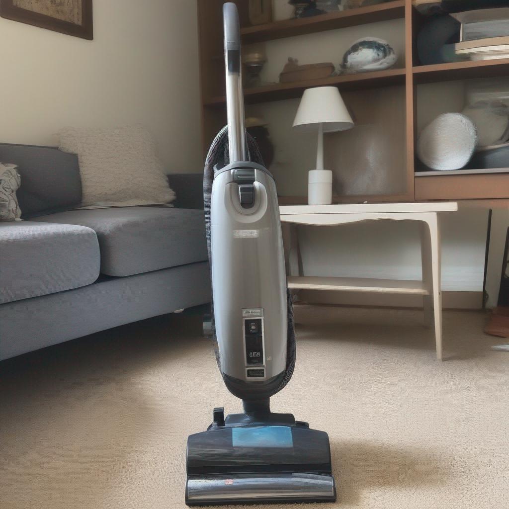 My Vacuum Cleaner is Also a Time Machine